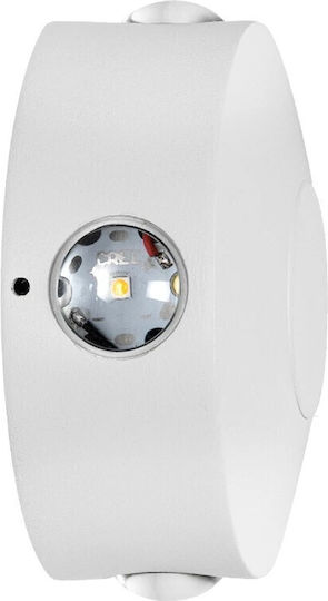 Kelvo Arkos Wall-Mounted Outdoor Spot Light LED IP65 8W with Warm White Light 13x5.5x13εκ.