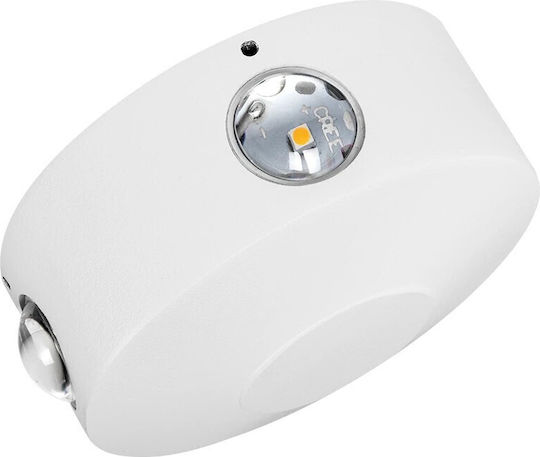 Kelvo Arkos Wall-Mounted Outdoor Spot Light LED IP65 8W with Warm White Light 13x5.5x13εκ.