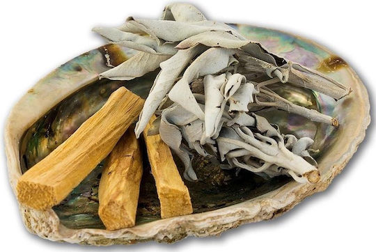 Set Smudge Palo Santo Salvie Scoică Curățare Spațiu Aură