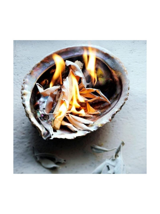 Smudge Set Palo Santo Φασκόμηλο Κοχύλι Καθαρισμό Χώρου Αύρας