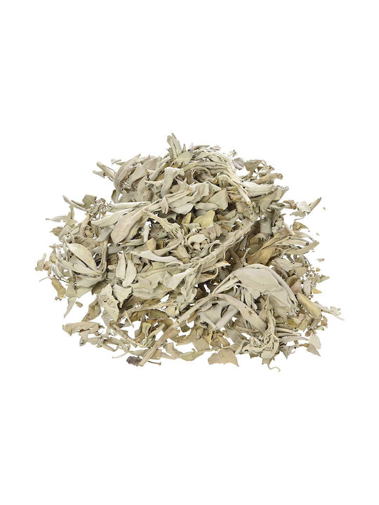 Smudge Set Palo Santo Φασκόμηλο Κοχύλι Καθαρισμό Χώρου Αύρας