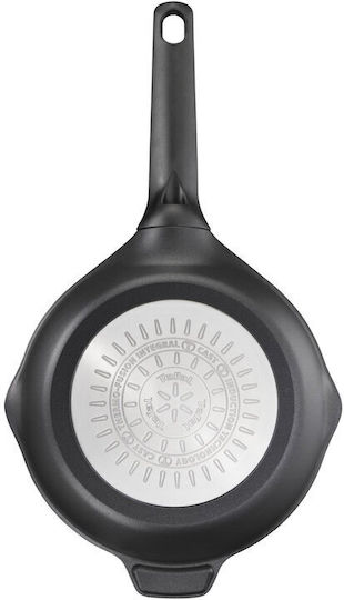 Tefal Robusto Pan aus Druckguss-Aluminium mit Antihaftbeschichtung 20cm
