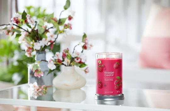 Yankee Candle Tumbler Αρωματικό σε Βάζο Red Raspberry