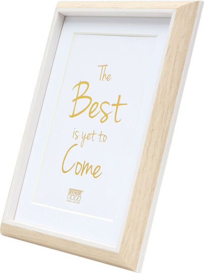 Deknudt Photo Frame with White Plastic Frame 20x30
