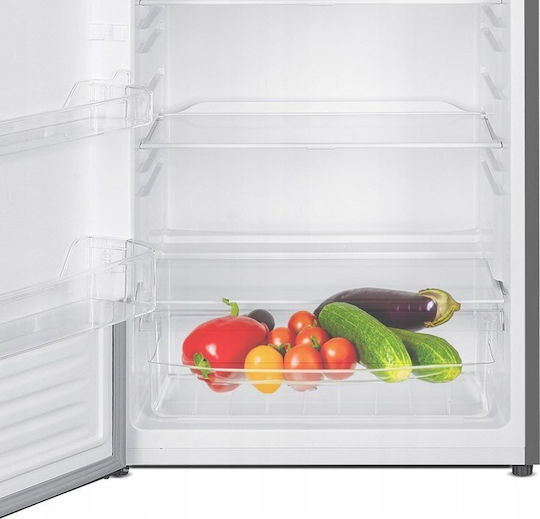 MPM Ψυγείο Συντήρησης 331lt Υ170xΠ60xΒ60εκ. Inox MPM-335-CJ-31