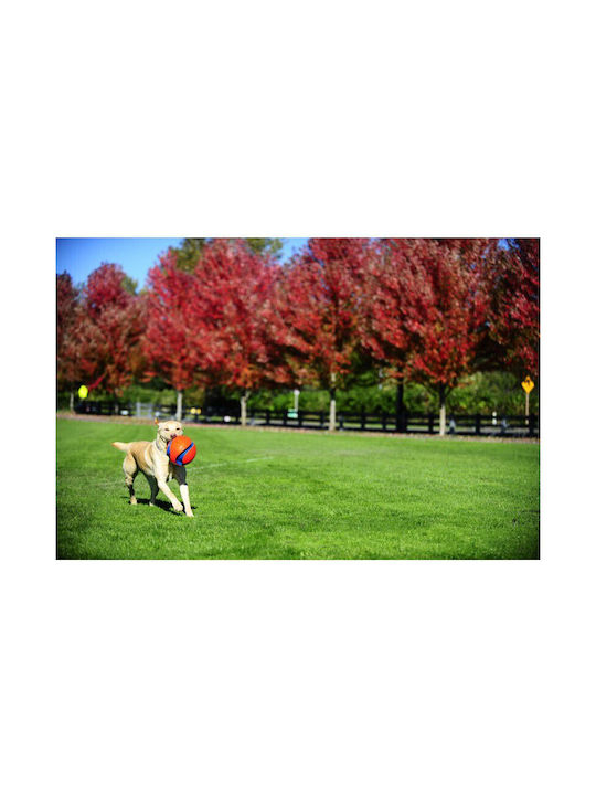 Chuckit Fetch Παιχνίδι Σκύλου Small 1τμχ