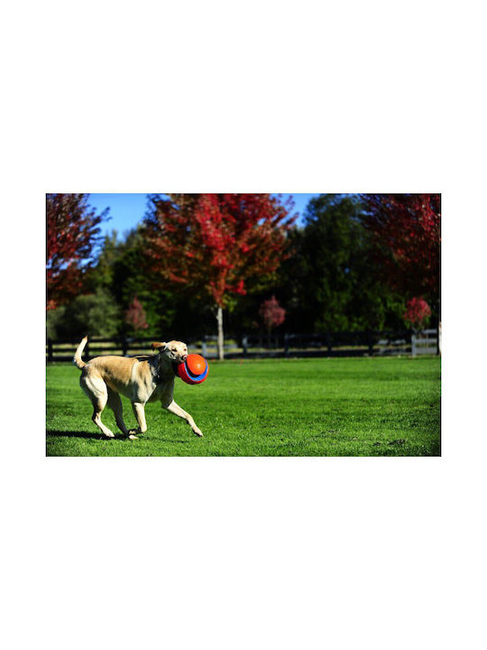 Chuckit Fetch Παιχνίδι Σκύλου Small 1τμχ