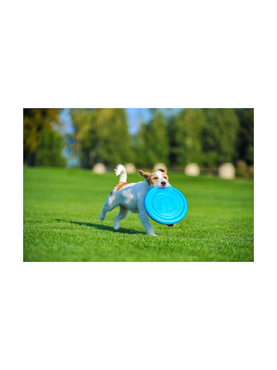 Doggy Village Frisbee Σκύλου Πορτοκαλί 1τμχ