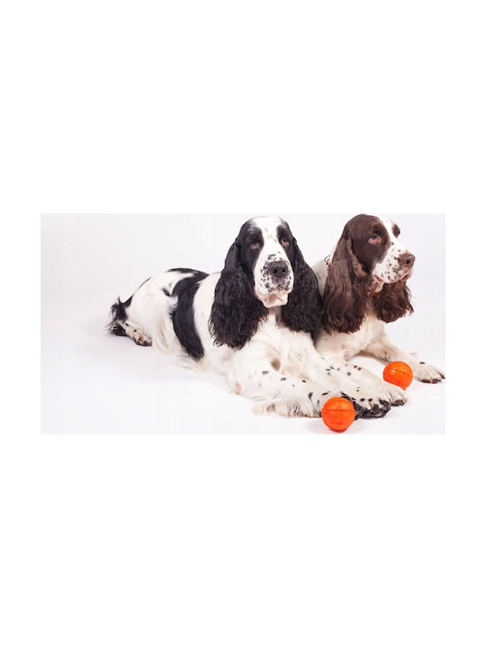 Doggy Village Ball Toy Dog 1pcs