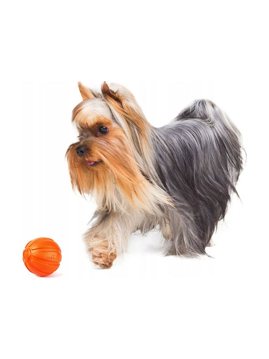 Doggy Village Ball Toy Dog 1pcs