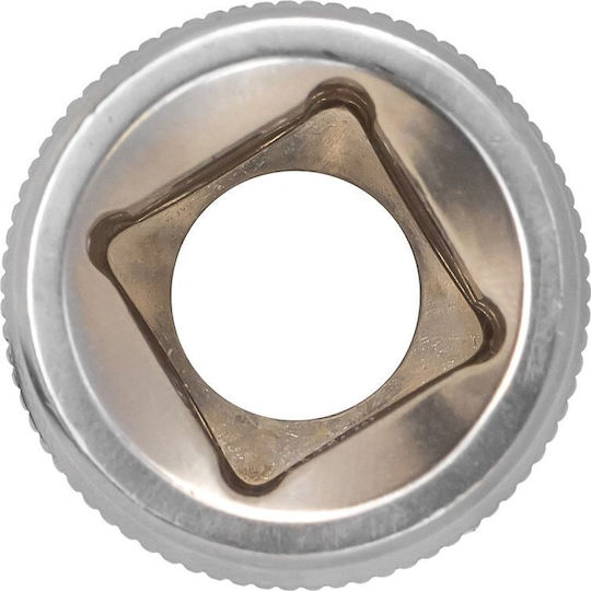 JCB Torx Socket with Frame Host 1/2" E22 Size