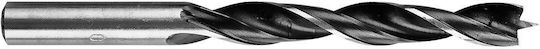 Graphite Set of 5 Drills for Wood