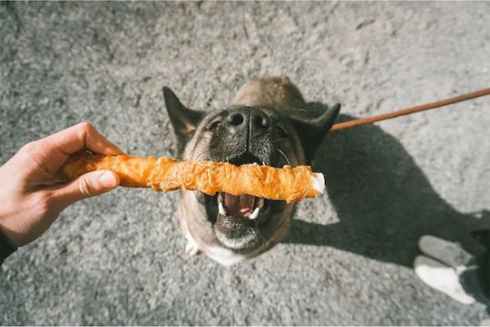 Duvo Plus Dog Treat with Beef and Chicken 25cm 122gr 2pcs
