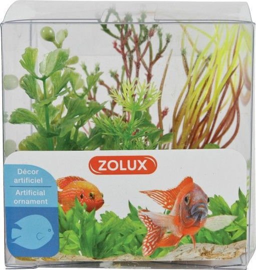 Διακοσμητικά Φυτά Zolux Mix 4τμχ Σετ 2