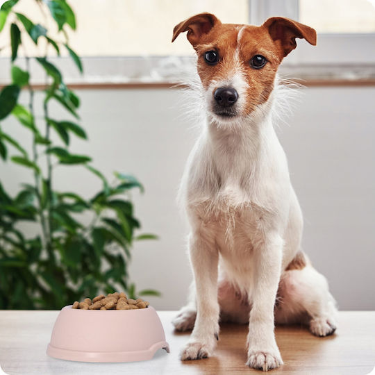 Plastic Food Bowl for Dog 3L 32.5cm
