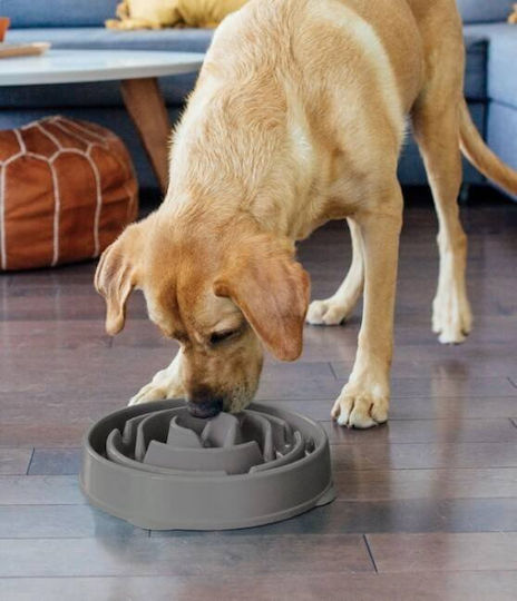 Outward Hound Outward Hound Fun Feeder Bol de Încetinire Gri 69892