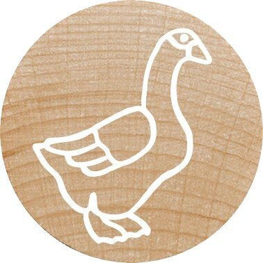 Colop Woodies Stamp Set "farm Animation" Retail