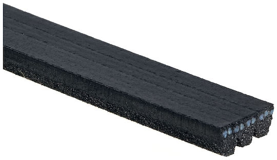 Gates Ribbed Transmission Belt 3pk842sf