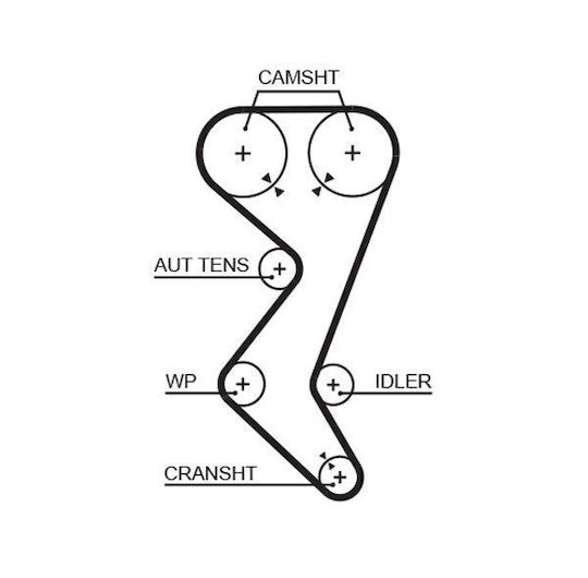 Kit Curea De Distribuție Gates K015528xs