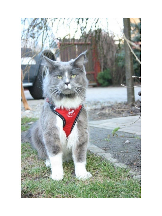 All Dogs All Cats Athletic Straps Xs Yellow