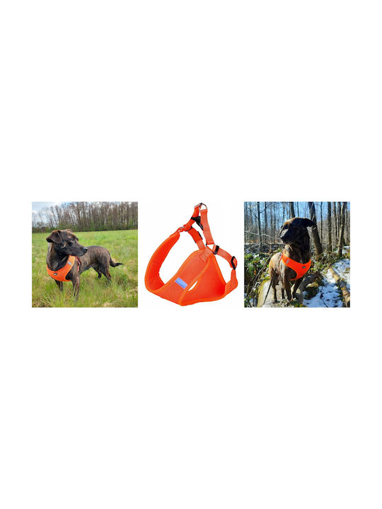 Nobby Nobby Mesh Reflect Σαγωνια Xxs Μαυρο 28-33cm