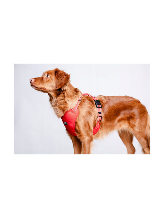 Chaba Chaba Guard Comfort Harness Xs 1 6cm/32-37cm Red