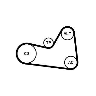 Continental Ctam 6pk1026k1 Ribbed Transmission Belt Set