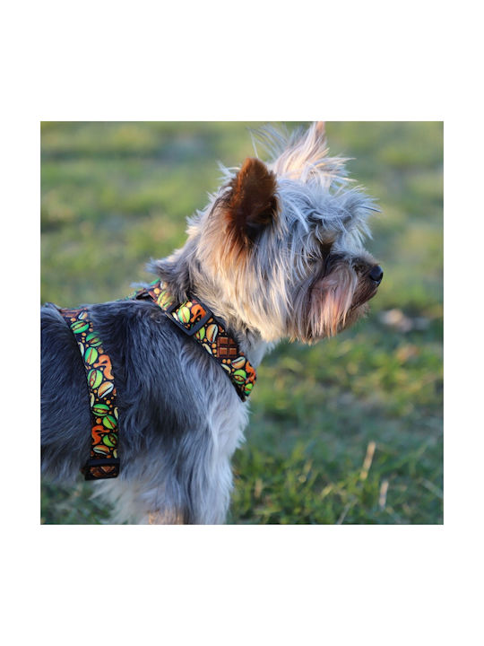 Dingo Guard City Dubai Harness S 2.0 X 24-45cm