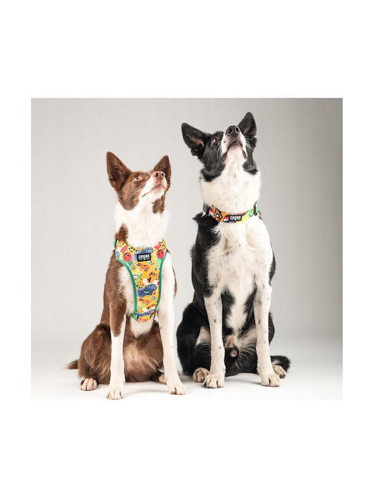 Chaba Chaba Hundegeschirre Schutz Komfort Geschichte L Jumbo 2.0/42-56cm