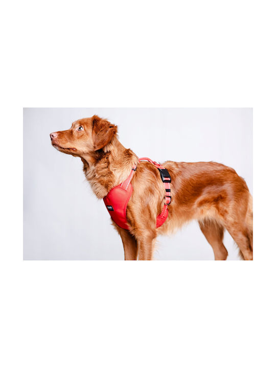 Chaba Chaba Ham Pentru Câini Guard Comfort Classic L Roșu