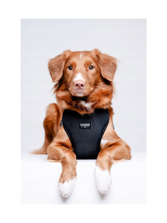 Chaba Chaba Guard Comfort Harness Xs 1 6cm/32-37cm Μαυρο