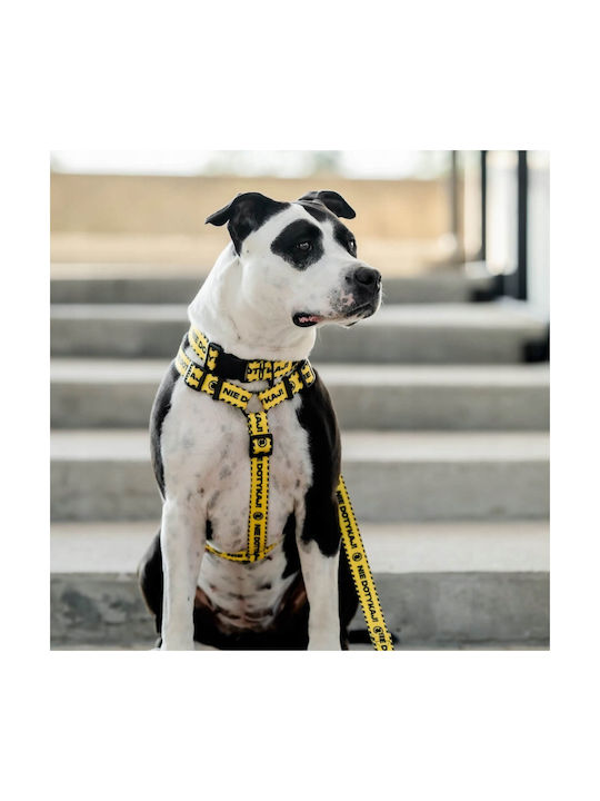 Hundegeschirre Chaba Harness Guard Nicht Berühren M 2 0/35-53cm