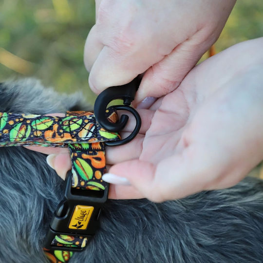 Dingo Leash Reg City Dubai 2.0 X 220cm