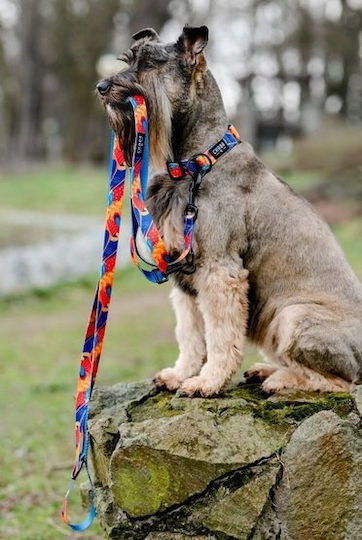 Ρυθμιζομενη Ταινια Chaba Chaba Leash Story Aussie ``l`` 2,5x260εκ