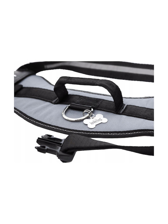 Hobbydog R3 Silk Julletta Popiel