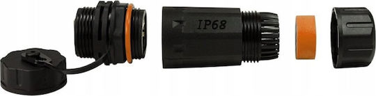 Techly Iwp-md C6a-ipglt Schimbător De Sex Pentru Cablu Rj45 Negru