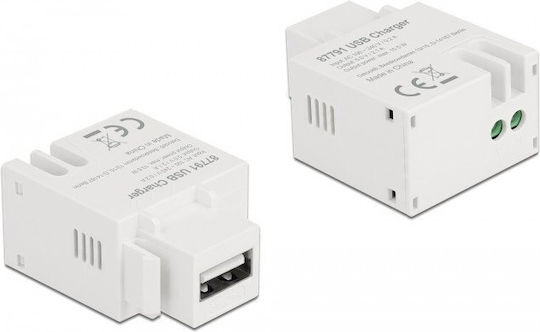 Delock Keystone Module USB Type-A Charging Port 2.1 A White Flat White USB A Terminal Female Female