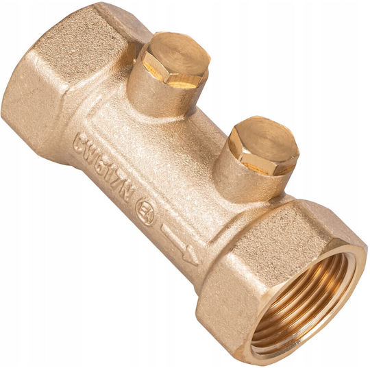 Non-return Valve 1gw X 1gw