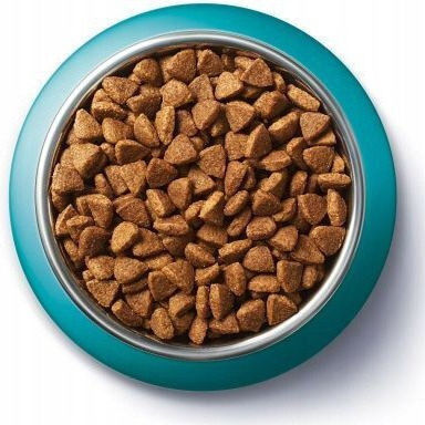 Purina One Dry Food for Adult Cats with Chicken 9.75kg