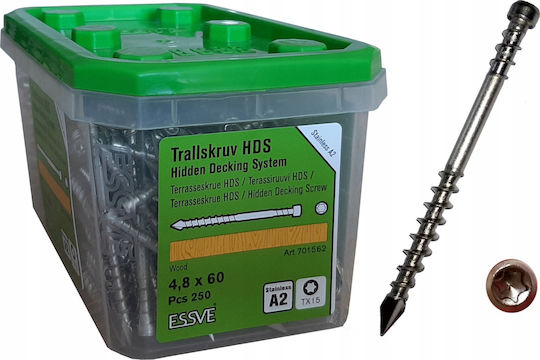 Essve Screw with Diameter M4.8 and Length 60mm