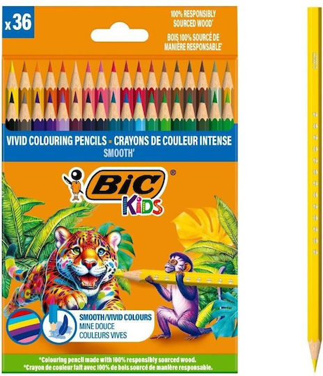 Olo 36-color Eco Smooth Colored Pencils