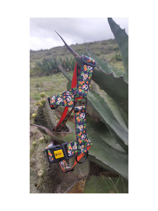 Dingo Dingo Διπλό Λουρί Guard City Chiapas Μέγεθος S