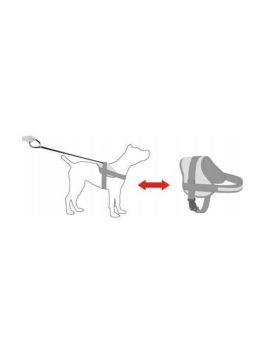 Hobbydog Hundegeschirr Blau