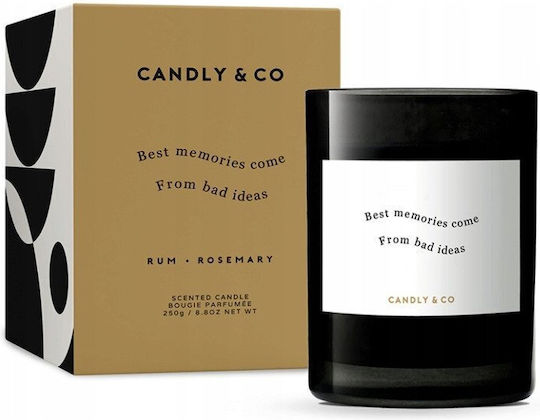 Candly & Co. Soja in Gefäß Schwarzes