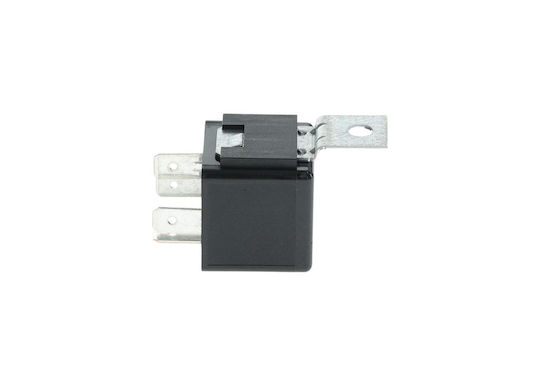 Bosch Car Fuel Pump