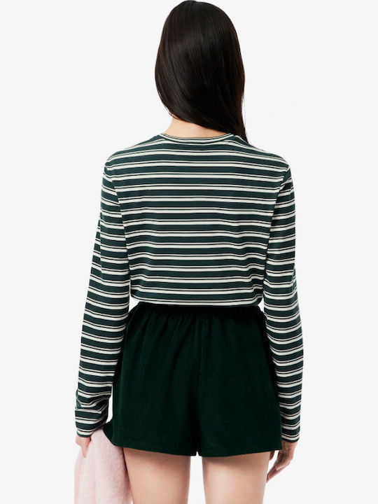 Women's Cotton Long Sleeve Striped Green White Blouse