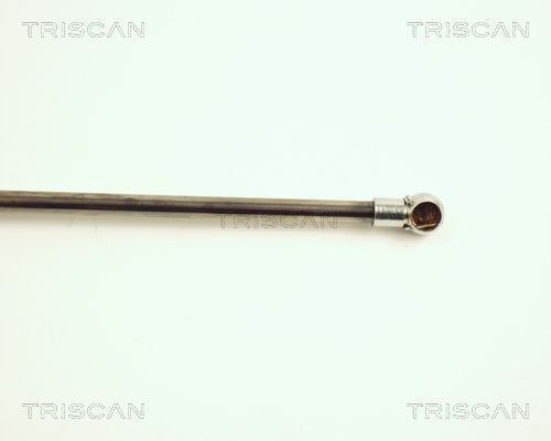 Triscan 8710 28217 Амортисьор За Багажник