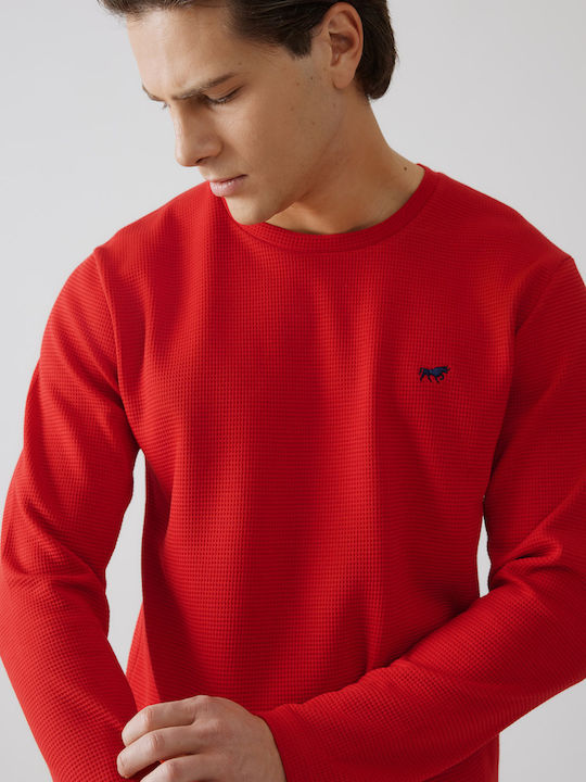 Minerva Bull Bull Red