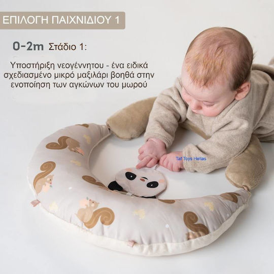 Taf Toys Μαξιλάρι Δραστηριοτήτων για Νεογέννητα