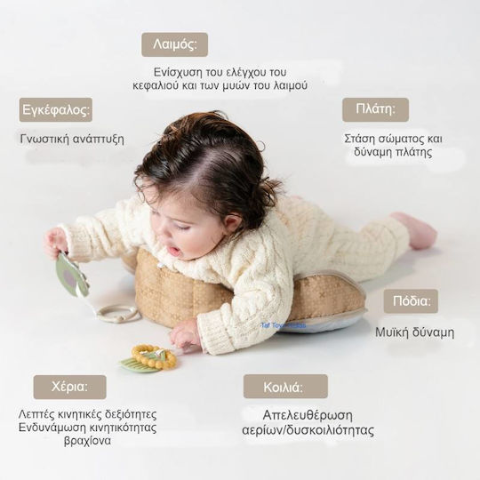 Taf Toys Pernă de Activități pentru Nou-Născuți